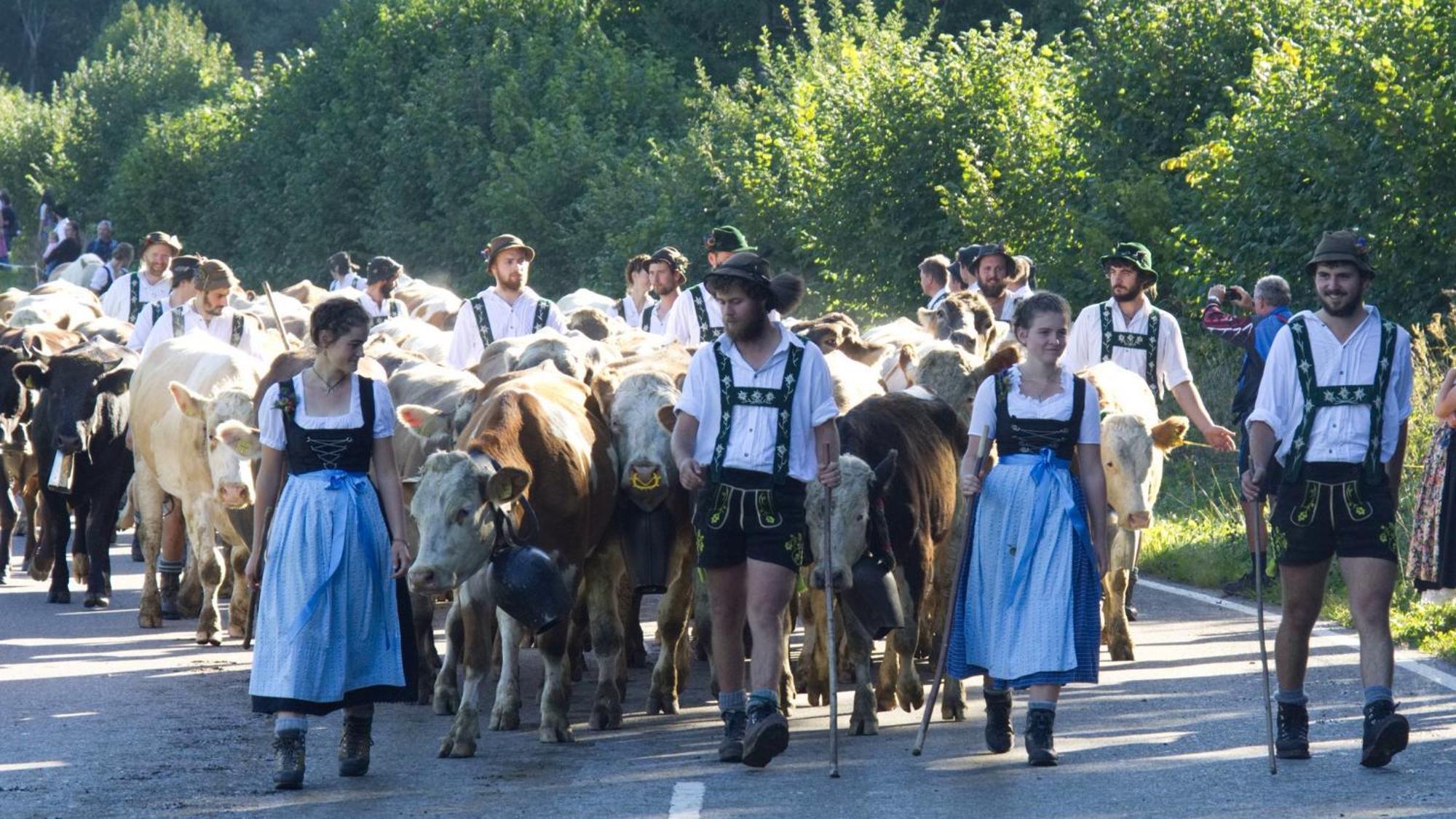 Fewo "Staufner Domizil" Oberstaufen Exteriör bild